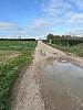 IMG_0990.jpg