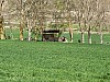 IMG_0996.jpg