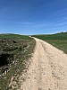 IMG_1001.jpg