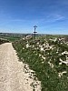 IMG_1003.jpg