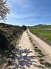 IMG_1008.jpg