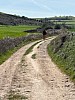 IMG_1009.jpg
