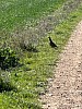 IMG_1014.jpg