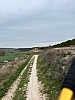 IMG_1034.jpg