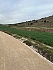 IMG_1036.jpg