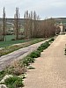 IMG_1038.jpg