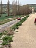 IMG_1039.jpg