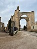 IMG_1041.jpg