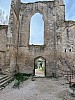 IMG_1046.jpg