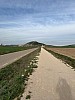 IMG_1047.jpg