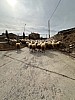 IMG_1054.jpg