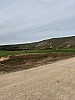 IMG_1055.jpg