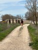 IMG_1069.jpg