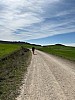 IMG_1079.jpg