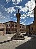 IMG_1081.jpg