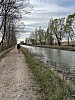 IMG_1091.jpg