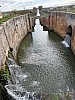 IMG_1096.jpg