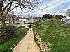 IMG_1098.jpg