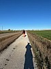 IMG_1109.jpg