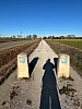 IMG_1110.jpg