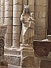 IMG_1134.jpg