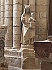 IMG_1135.jpg