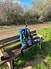 IMG_1183.jpg