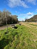 IMG_1184.jpg
