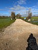 IMG_1185.jpg