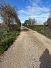 IMG_1188.jpg