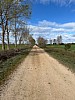 IMG_1190.jpg