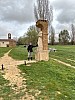 IMG_1217.jpg