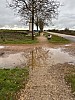 IMG_1228.jpg
