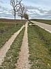 IMG_1232.jpg