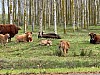 IMG_1235.jpg