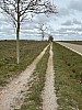IMG_1237.jpg