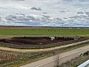 IMG_1245.jpg