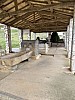 IMG_1265.jpg