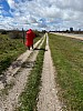 IMG_1295.jpg