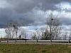 IMG_1296.jpg
