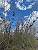 IMG_1311.jpg