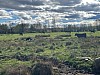 IMG_1314.jpg