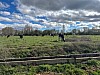 IMG_1315.jpg