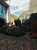 IMG_1325.jpg