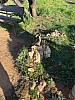 IMG_1354.jpg