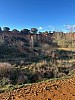 IMG_1358.jpg