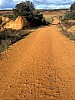 IMG_1361.jpg