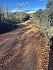 IMG_1363.jpg