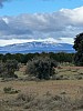 IMG_1367.jpg