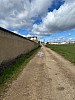 IMG_1384.jpg